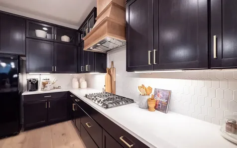 21306 Harbor Green Lane Cypress TX 77433