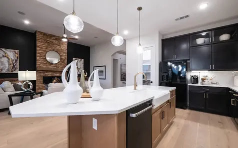 21306 Harbor Green Lane Cypress TX 77433
