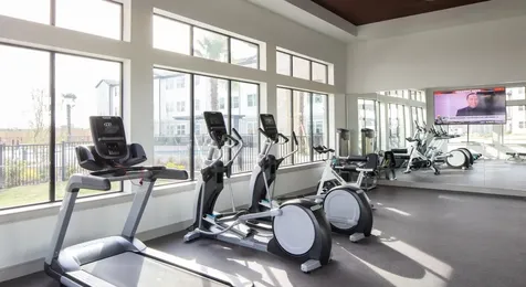 12111 Main Street 4205 Houston TX 77035