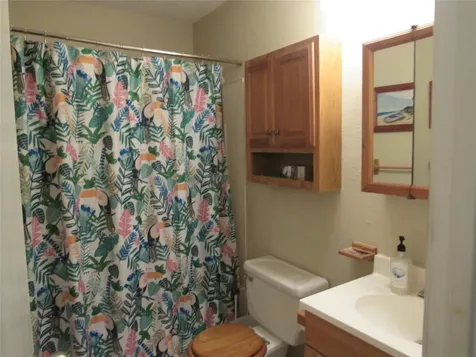 242 Sir Lancelot Drive N Sargent TX 77414