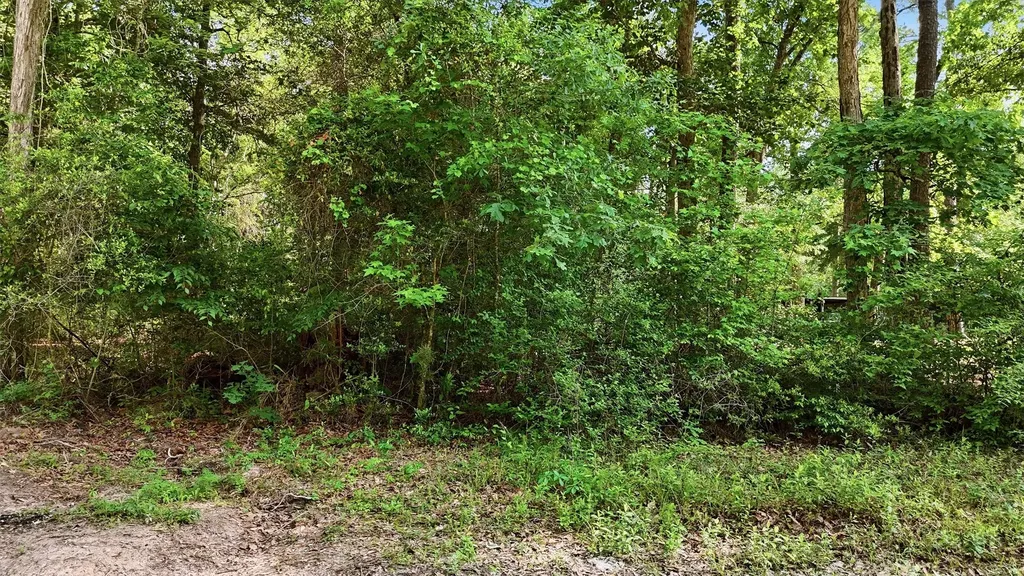 164 Road 2699 Cleveland TX 77327