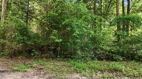 164 Road 2699 Cleveland TX 77327