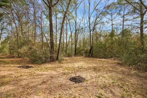 17915 Saddle Horn Drive Waller TX 77484