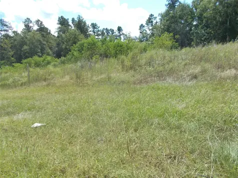 1424 Road 5824 Cleveland TX 77327