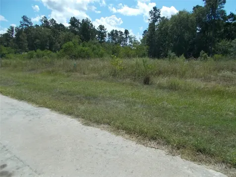 1424 Road 5824 Cleveland TX 77327