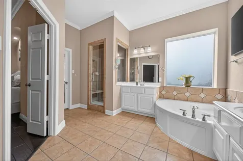 13130 Cane Lake Court Sugar Land TX 77498