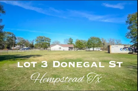 87 +/- Ac Tbd Donegal Street Hempstead TX 77445