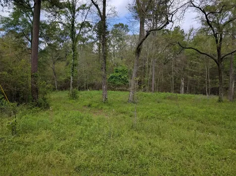 50 G Jock Street Livingston TX 77351