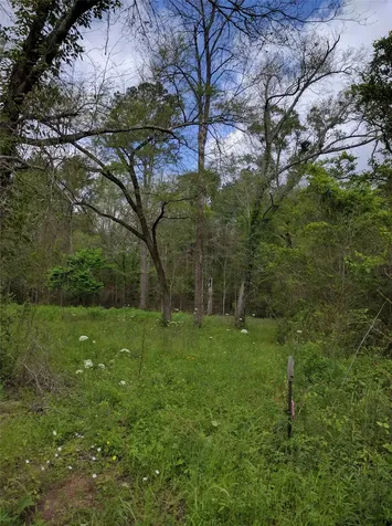 50 G Jock Street Livingston TX 77351