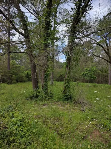 50 G Jock Street Livingston TX 77351