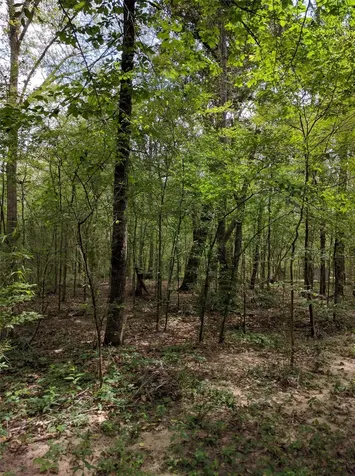 50 G Jock Street Livingston TX 77351