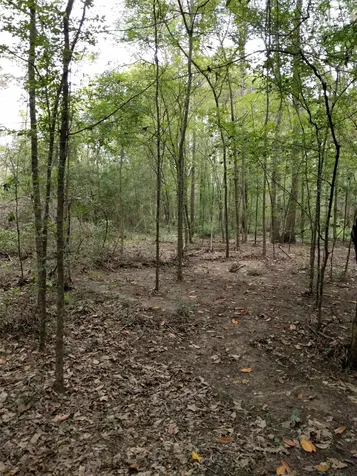50 G Jock Street Livingston TX 77351