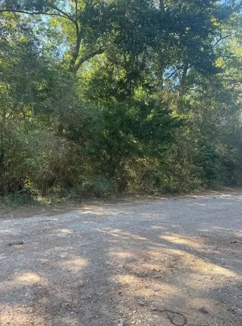 0 Le Conte Lane Lane Humble TX 77338