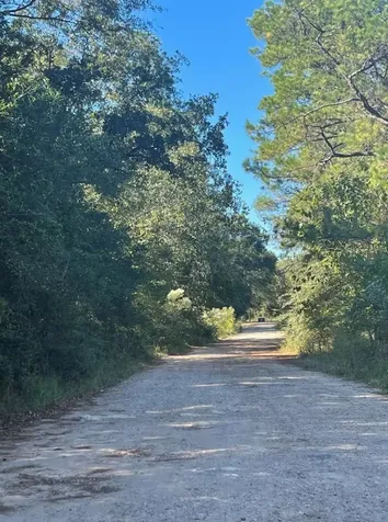 0 Le Conte Lane Lane Humble TX 77338
