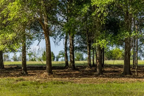 4201 Krueger Road Chappell Hill TX 77880