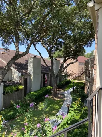 8100 Cambridge Street 40 Houston TX 77054