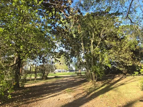 1132 Liberty Avenue Livingston TX 77351