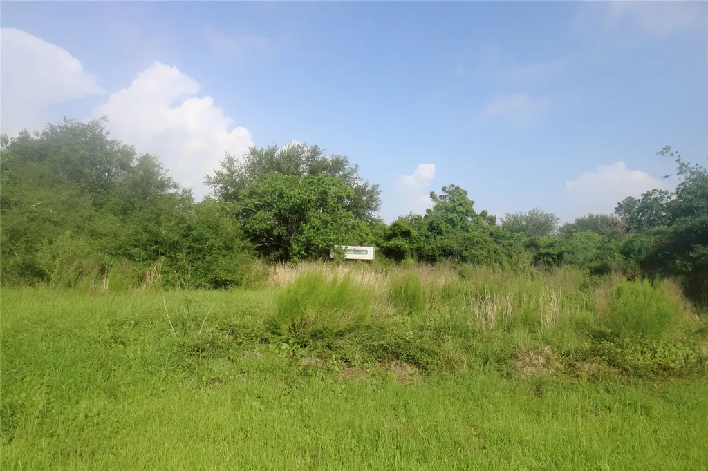 100 Kelly Lane Smith Point TX 77514