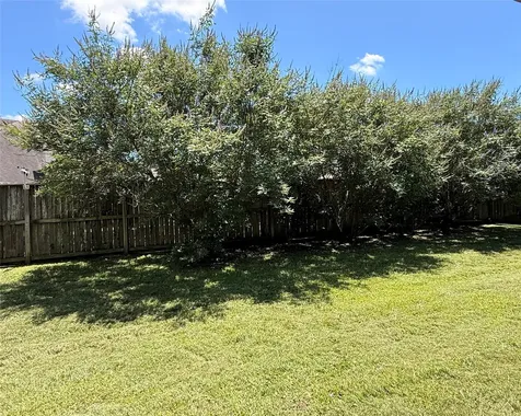 1127 Goose Landing Lane Richmond TX 77406