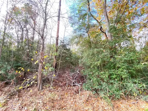 Lot 21 Lula Drive Huntsville TX 77320