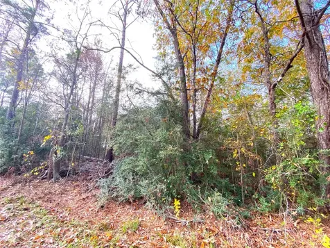 Lot 21 Lula Drive Huntsville TX 77320