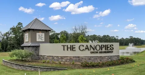 20874 Olive Leaf Street New Caney TX 77357