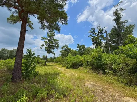 13 Ac Cr 2012 Centerville TX 75833
