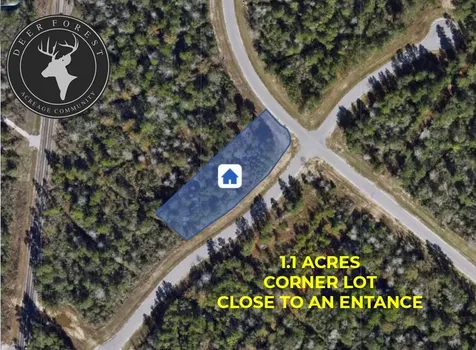127 Gypsum Road New Waverly TX 77358
