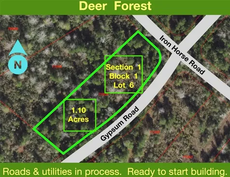 127 Gypsum Road New Waverly TX 77358