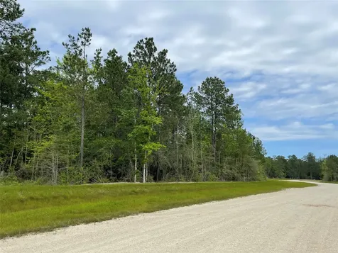 127 Gypsum Road New Waverly TX 77358