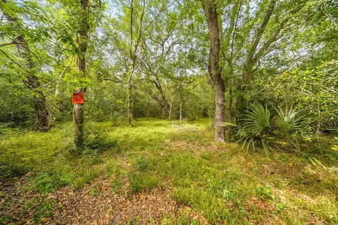 161 County Road 508 Brazoria TX 77422