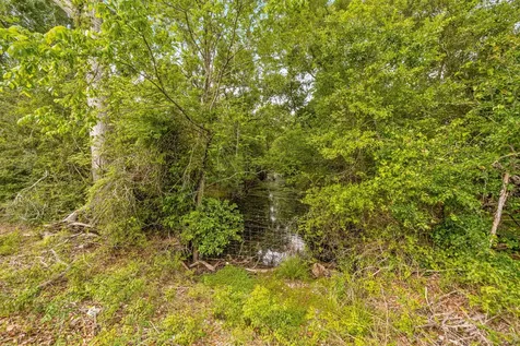 161 County Road 508 Brazoria TX 77422