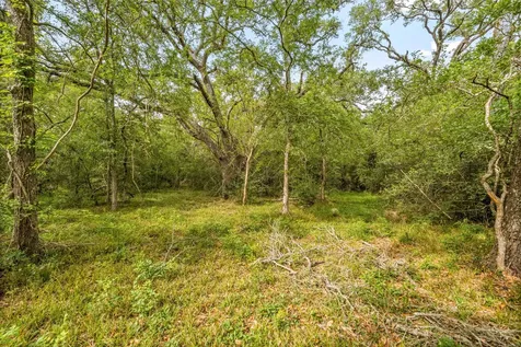 161 County Road 508 Brazoria TX 77422