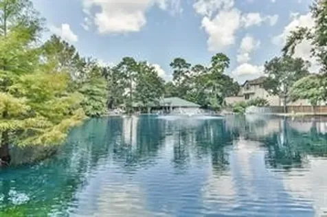 2815 Kings Crossing Drive 319 Kingwood TX 77345