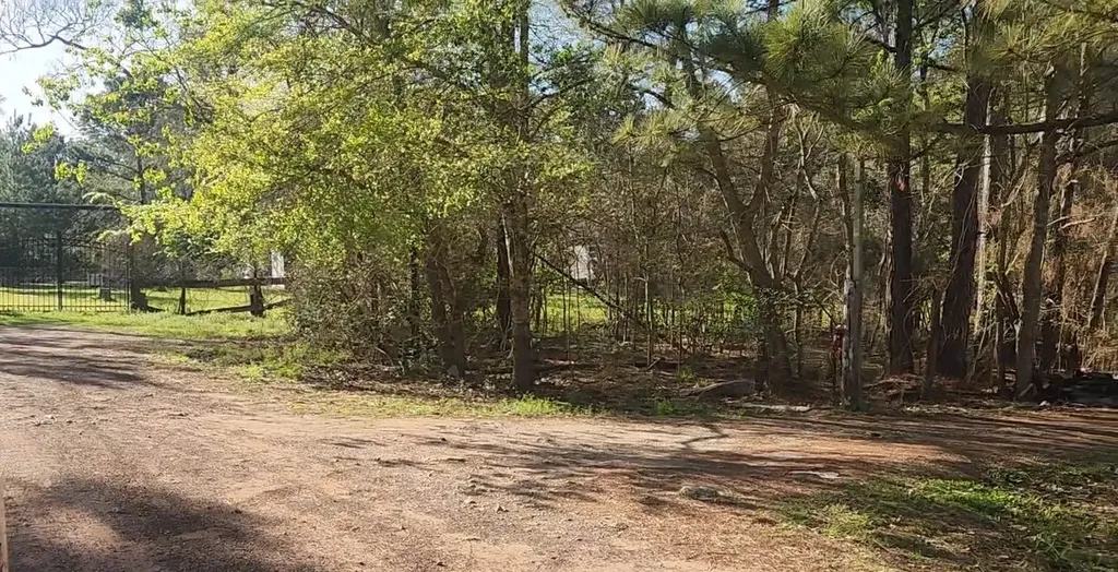 Lot 7 Sweetleaf Lane Plantersville TX 77363