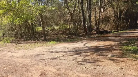 Lot 7 Sweetleaf Lane Plantersville TX 77363