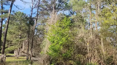 Lot 7 Sweetleaf Lane Plantersville TX 77363