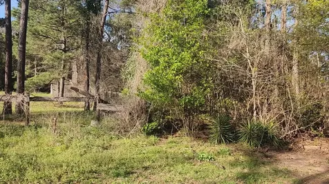 Lot 7 Sweetleaf Lane Plantersville TX 77363