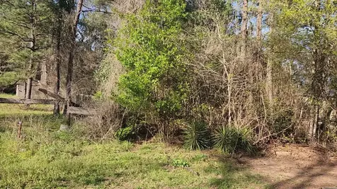 Lot 7 Sweetleaf Lane Plantersville TX 77363