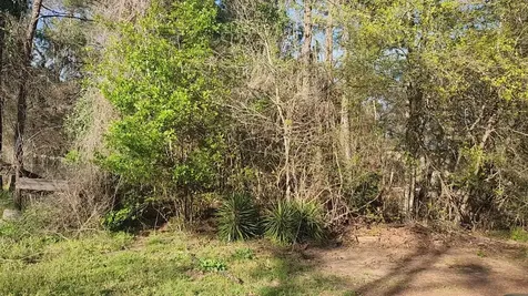 Lot 7 Sweetleaf Lane Plantersville TX 77363