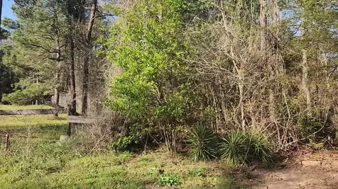Lot 7 Sweetleaf Lane Plantersville TX 77363