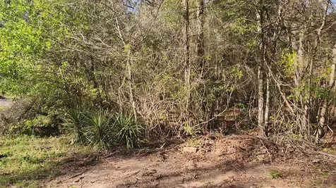 Lot 7 Sweetleaf Lane Plantersville TX 77363