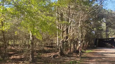 Lot 7 Sweetleaf Lane Plantersville TX 77363