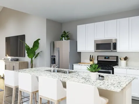 15666 Coneflower Hills Drive Houston TX 77090