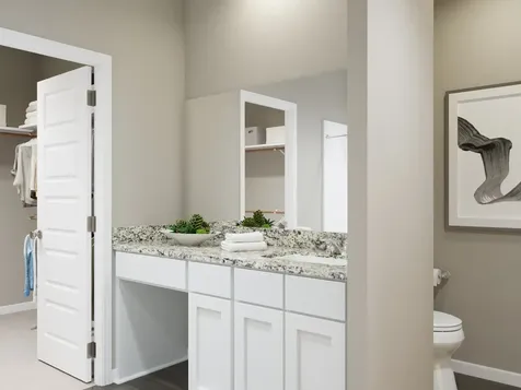 15666 Coneflower Hills Drive Houston TX 77090