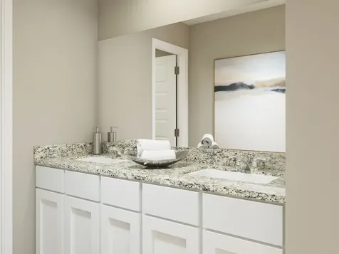 15666 Coneflower Hills Drive Houston TX 77090