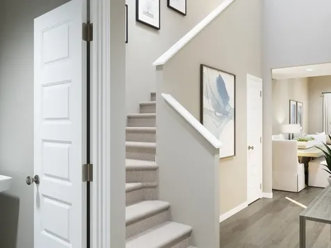 15666 Coneflower Hills Drive Houston TX 77090