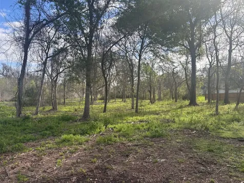 0 Lost Lake Drive Mont Belvieu TX 77523