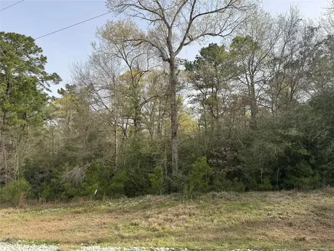 4B-6-223 Red Hawk Road Huntsville TX 77340