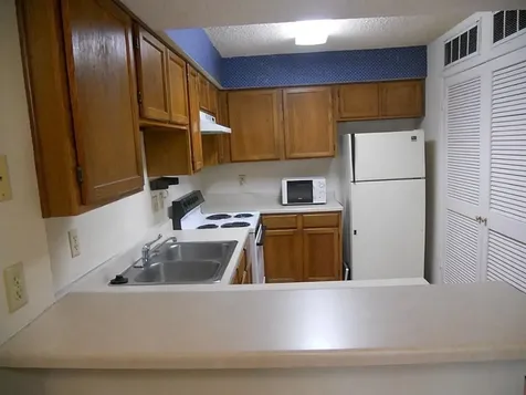 10555 Turtlewood Court 2003 Houston TX 77072